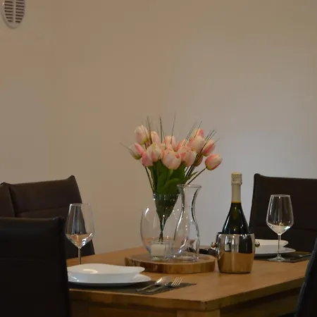 Apartament Kancler Nova Gorica