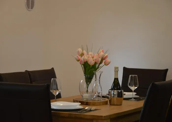 Διαμέρισμα Kancler Νόβα Γκόριτσα